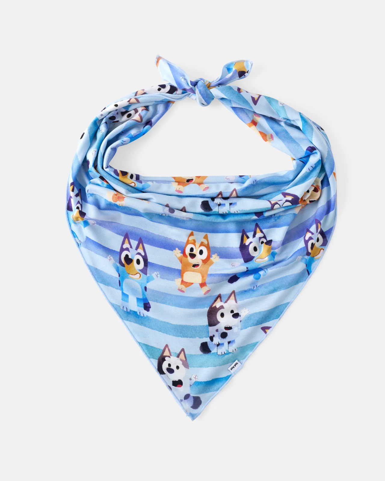 Bluey Dance All Day Pet Bandana - Image 3