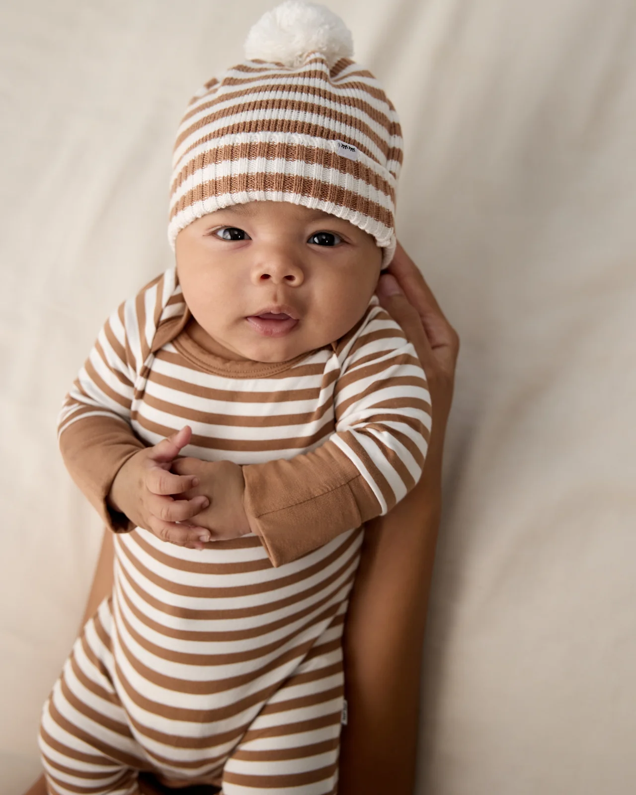 Chestnut Brown Stripe Crescent Zippy - Image 4