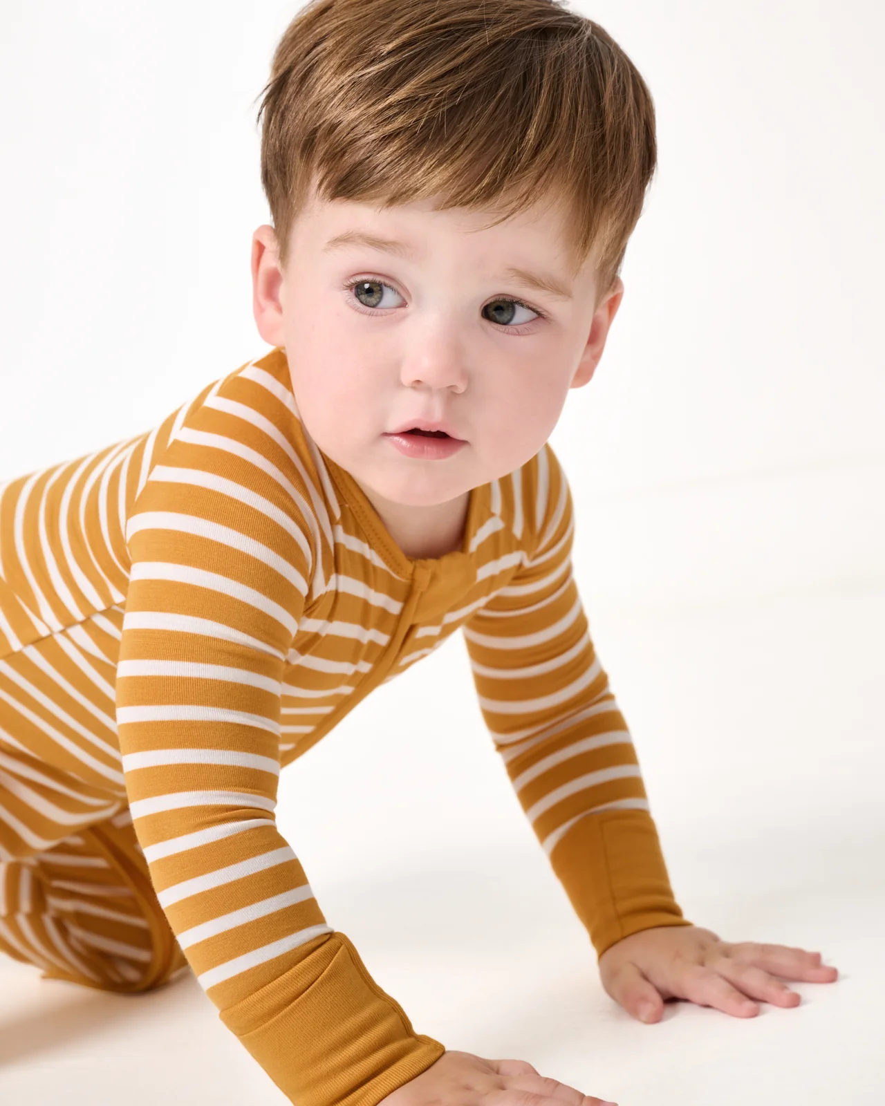 Marigold Stripe Zippy - Image 5