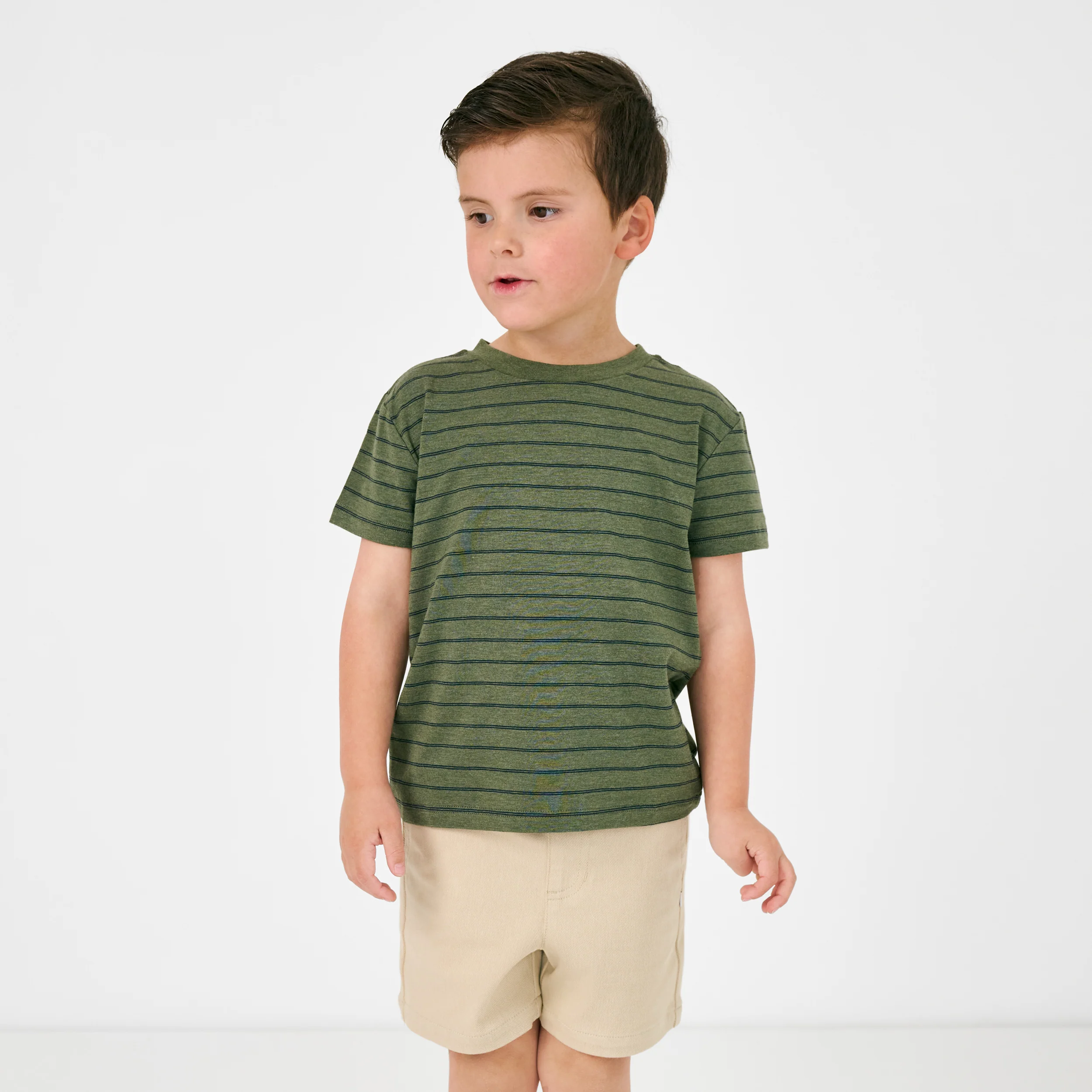 Olive Stripes Short Sleeve Relaxed Tee - Image 5