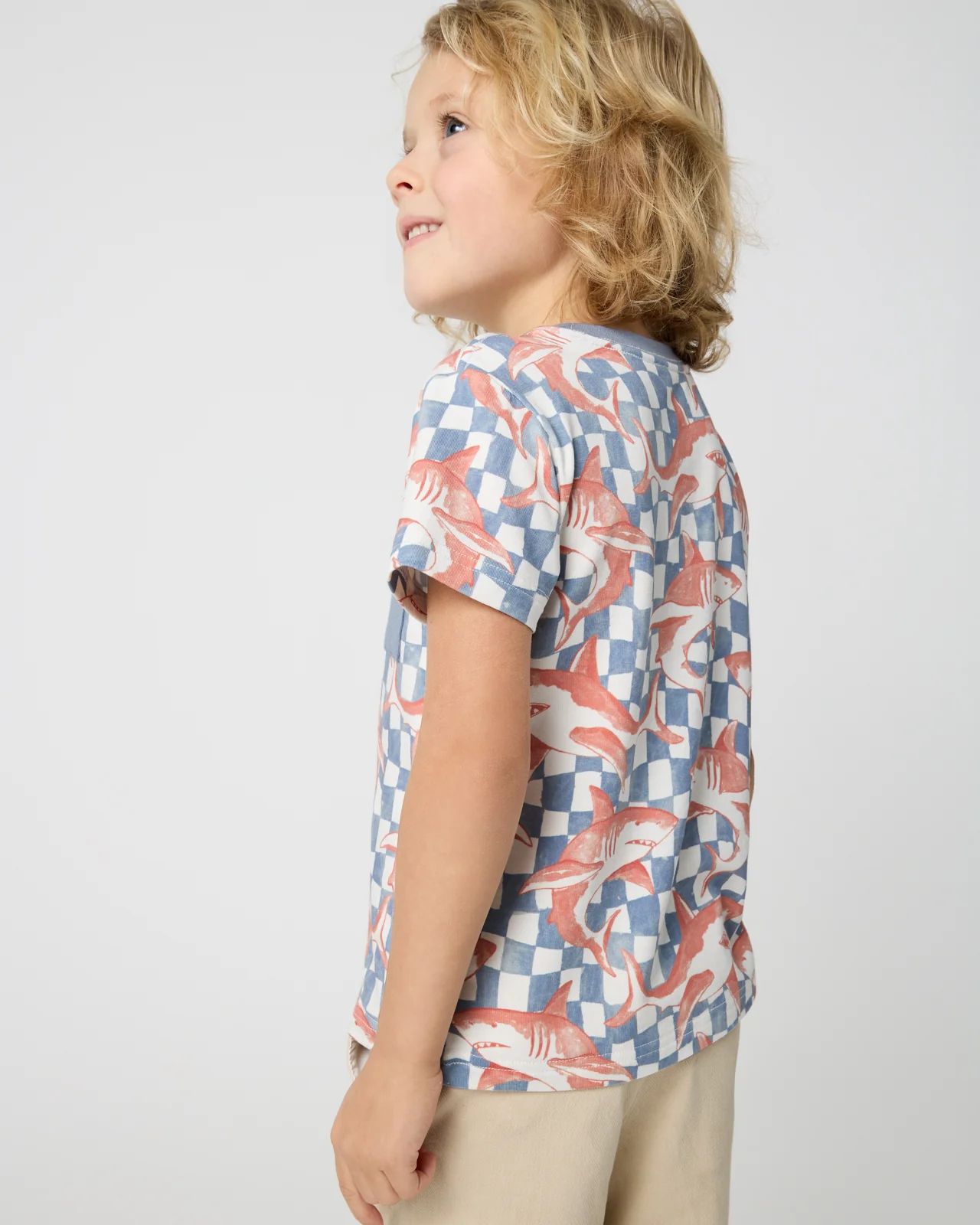 Shark Fin Checks Relaxed Pocket Tee - Image 4