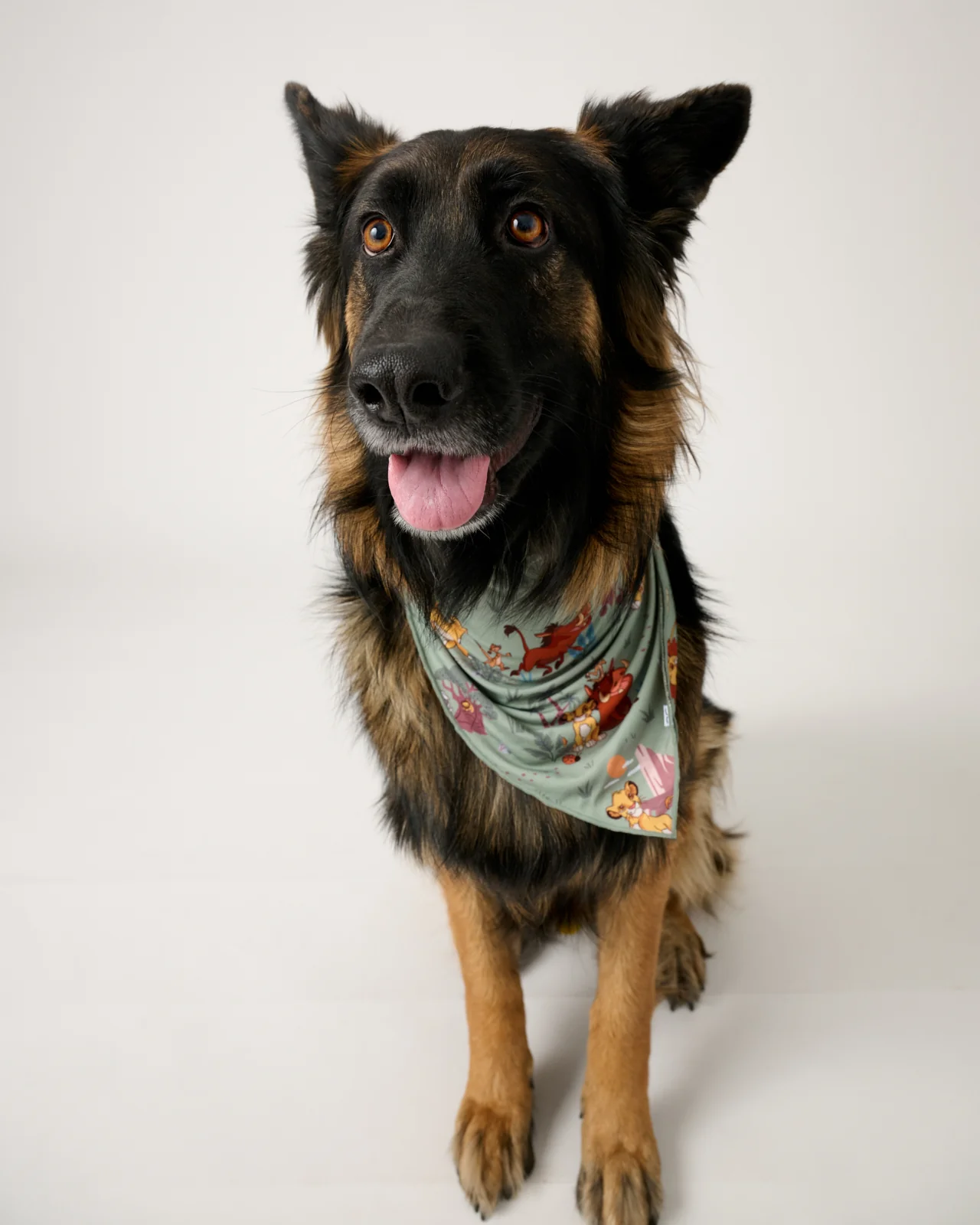 Simba's Safari Pet Bandana - Image 2