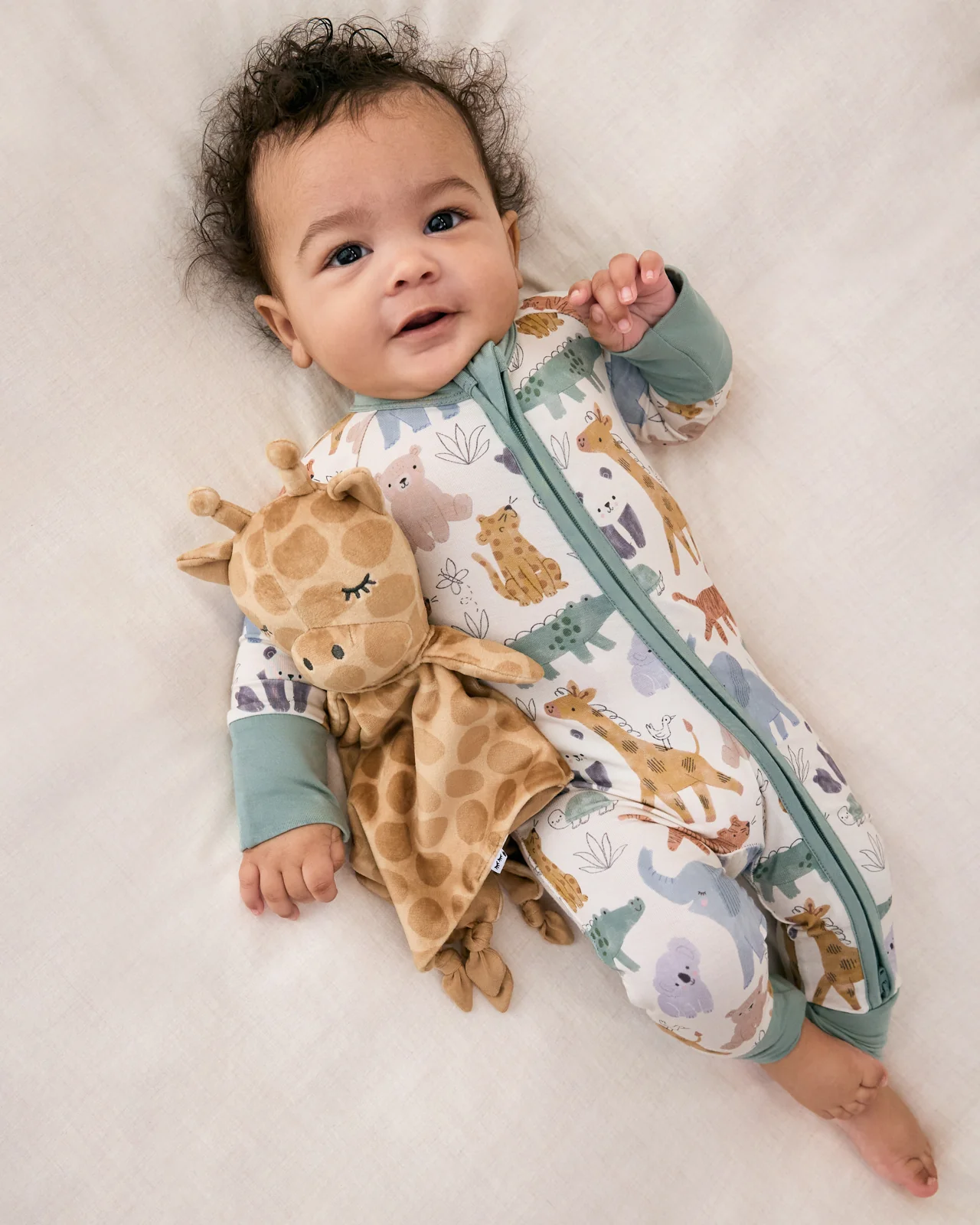 Sweet Safari Zippy - Image 5